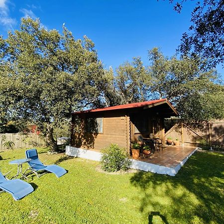 Casita Louisa Villa Chiclana de la Frontera Kültér fotó